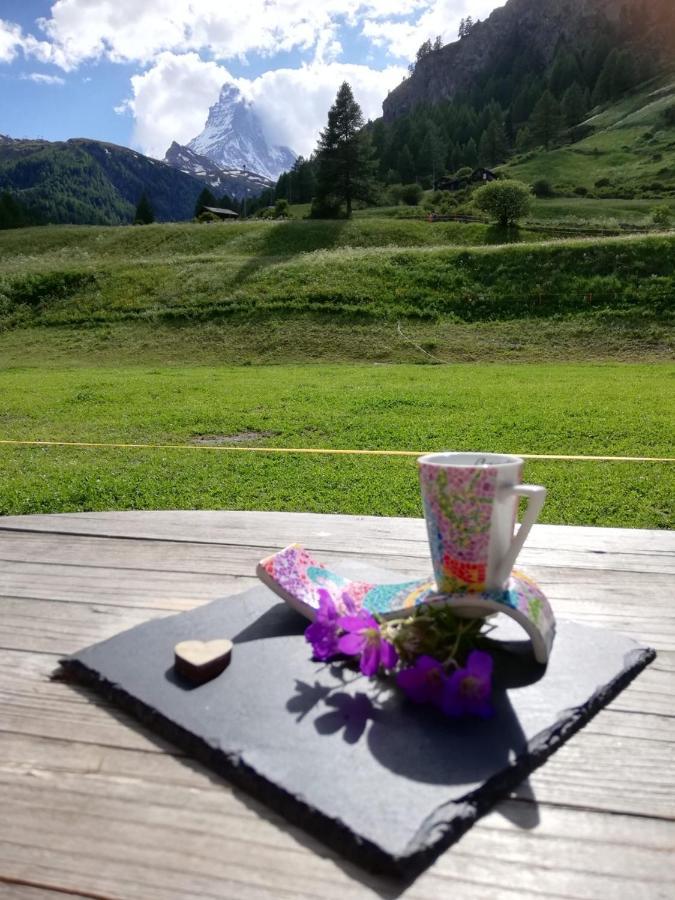 شقة Emelie Zermatt 4**** المظهر الخارجي الصورة